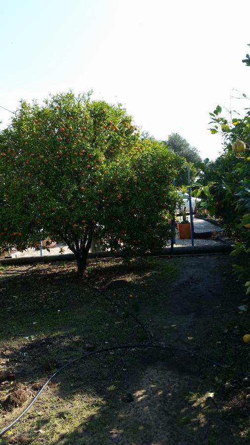Villa Asbn Magic Garden Acre Exterior foto