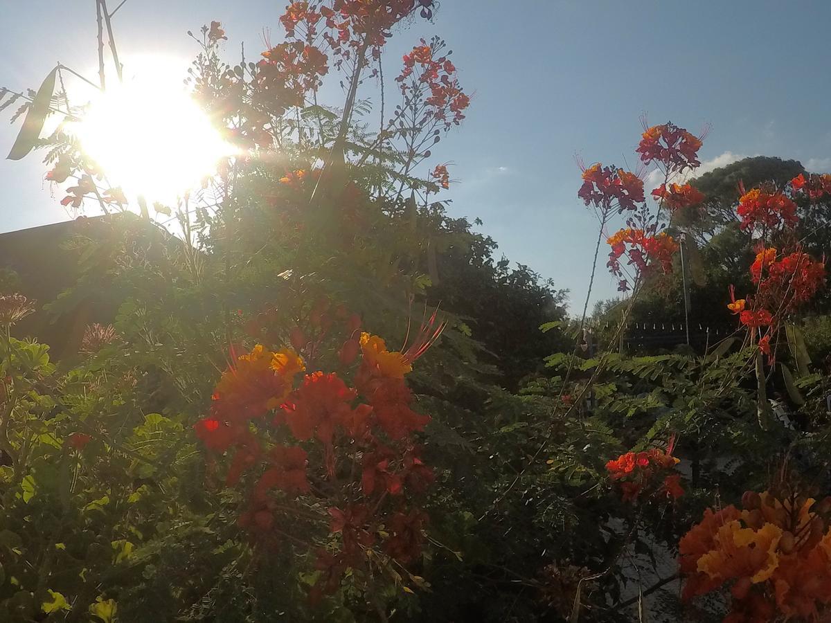 Villa Asbn Magic Garden Acre Exterior foto