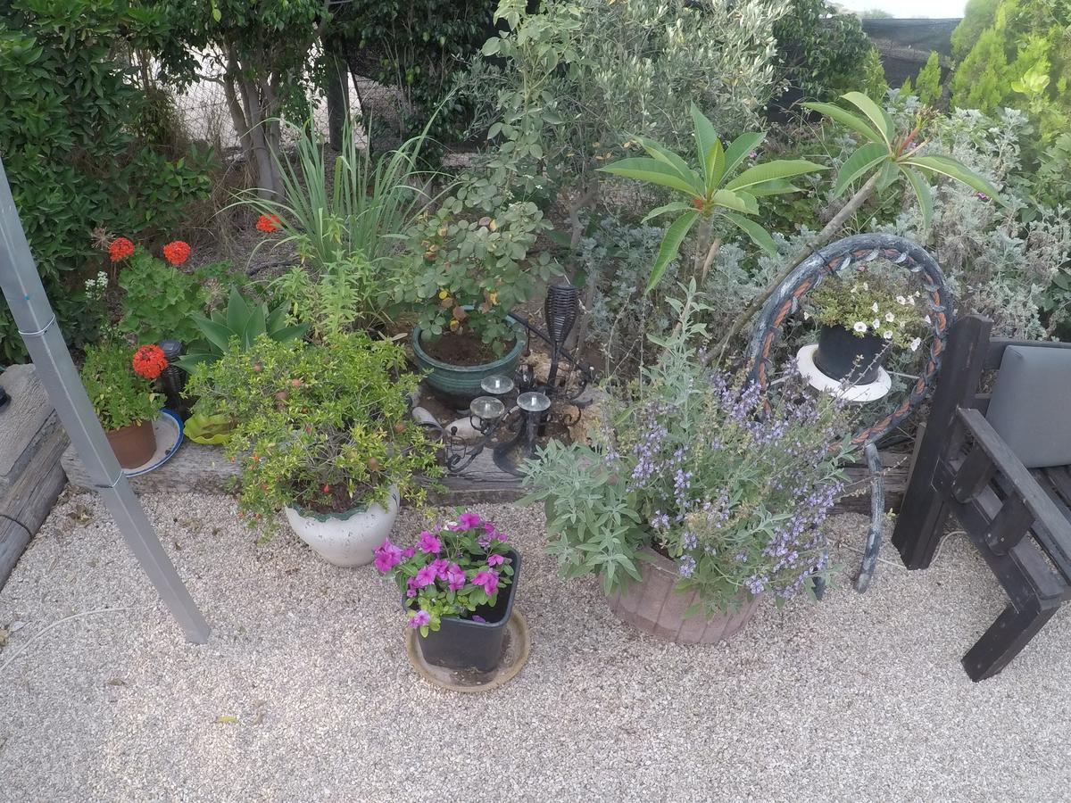 Villa Asbn Magic Garden Acre Exterior foto
